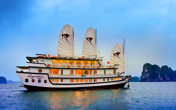 Paloma Cruise